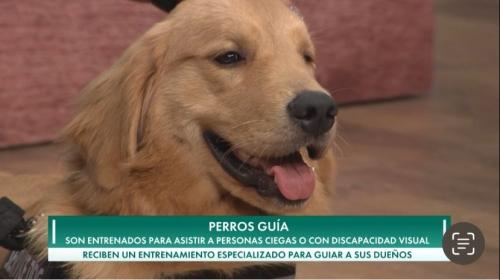   Programa Entre Familia