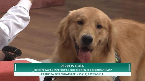  Programa Entre Familia