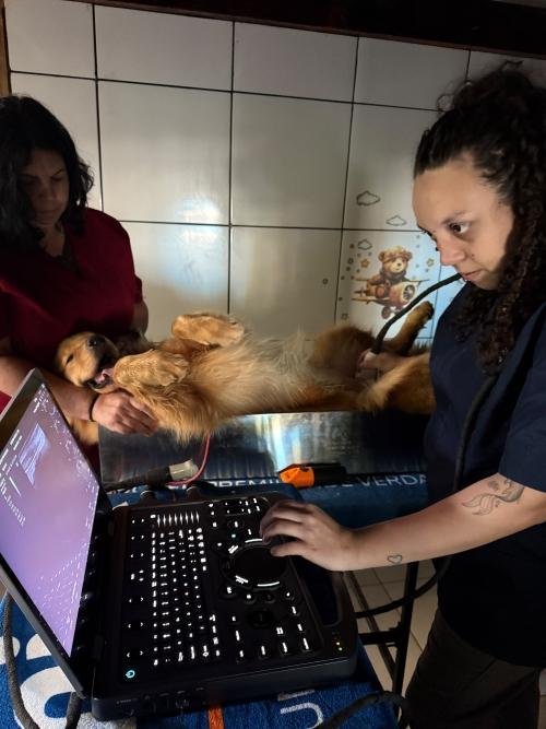 Saúde e propósito